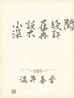 小说在线阅读情深不再许