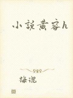 小说黄容h