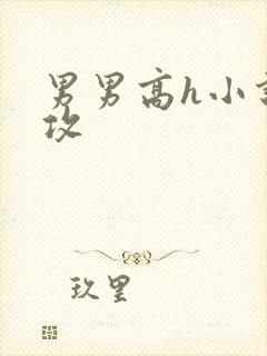 男男高h小说总攻