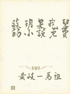 苏玥是我儿媳妇的小说免费阅读封面