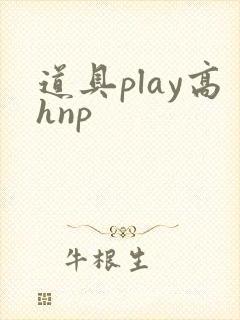 道具play高hnp