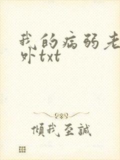 我的病弱老婆番外txt封面