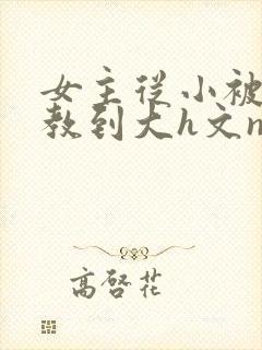 女主从小被肉调教到大h文np