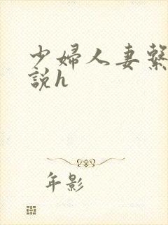 少妇人妻系列小说h