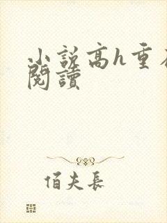 小说高h重在线阅读封面