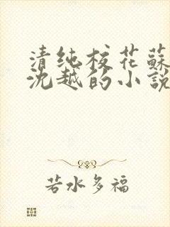 清纯校花苏软和沈越的小说封面