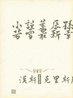 小说叶辰孙怡夏若雪最新章节阅读