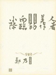 小向まな美人妻降临的作者