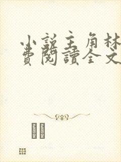 小说主角林风免费阅读全文