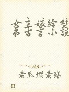 女主嫁给双生兄弟古言小说封面