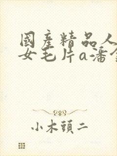 国产精品人妻熟女毛片a潘金莲