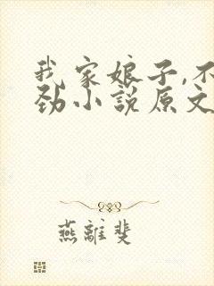 我家娘子,不对劲小说原文