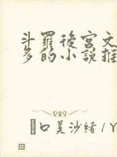 斗罗后宫文女主多的小说推荐