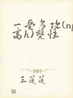 一受多攻(np高h)双性