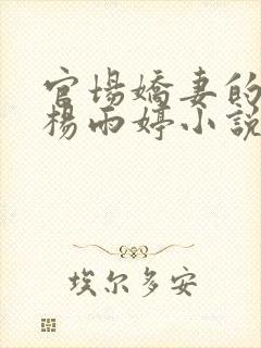 官场娇妻的报复杨雨婷小说免费阅读