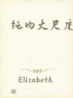 纯肉大尺度小说