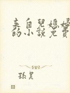 来自儿媳妇的爱的小说免费阅读全文封面