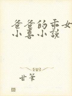 爸爸的乖女儿林小喜小说