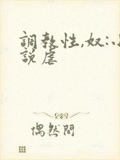调教性,奴:小说虐