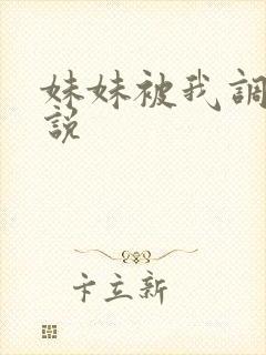 妹妹被我调教小说