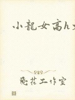 小龙女高h文