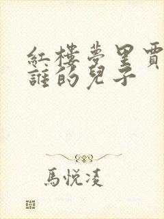 红楼梦里贾兰是谁的儿子