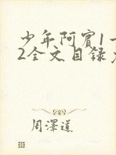 少年阿宾1一72全文目录免费下载