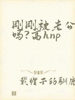 刚刚被老公操了吗?高hnp封面