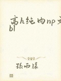 高h纯肉np文bl