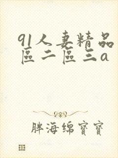 91人妻精品一区二区三a