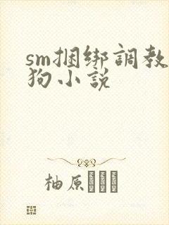 sm捆绑调教母狗小说