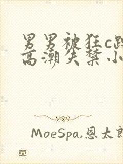 男男被狂c躁到高潮失禁小说