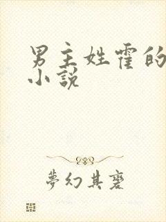 男主姓霍的总裁小说