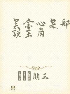 吴念心是哪部小说主角