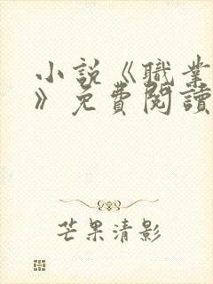 小说《职业奶妈》免费阅读