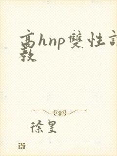 高hnp双性调教