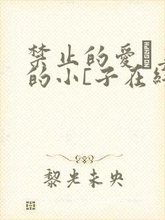 禁止的爱·善良的小[子在线观看