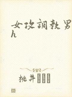 女攻调教男受高h