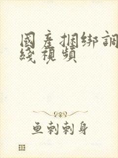 国产捆绑调教在线视频