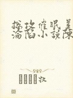 总攻催眠美人的沦陷小说陈楚敬封面