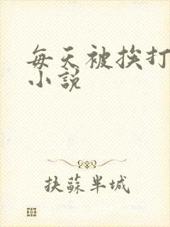 每天被挨打日常小说