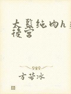 太监纯肉h爽文后宫