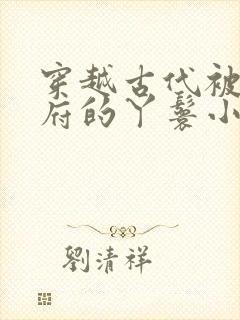 穿越古代被放出府的丫鬟小说