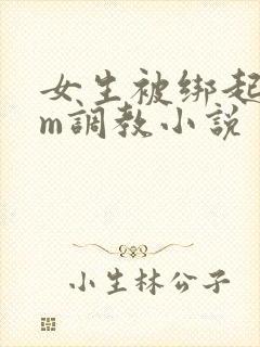 女生被绑起来sm调教小说封面