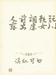 人前调教玩弄(露出虐女)小说封面