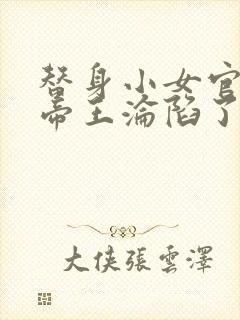 替身小女官腹黑帝王沦陷了全文在线阅读