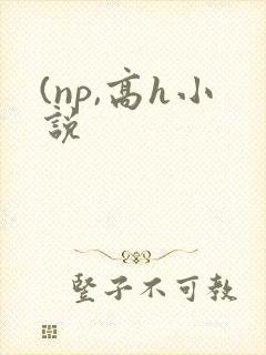 (np,高h小说