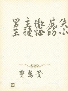 男主彻底失去女主后悔的小说