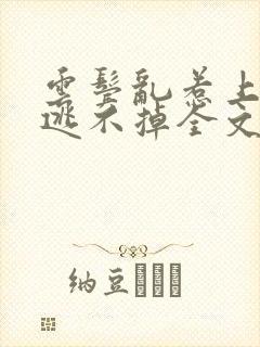 云鬓乱惹上权臣逃不掉全文版