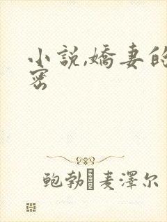 小说,娇妻的秘密